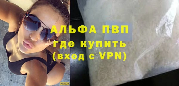 сатива Кулебаки