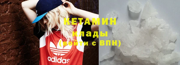 сатива Кулебаки