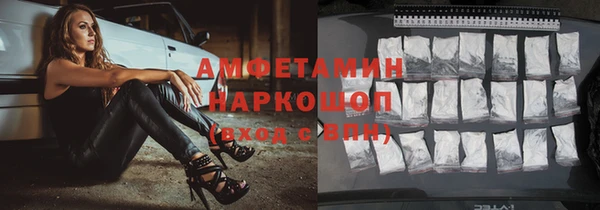 сатива Кулебаки