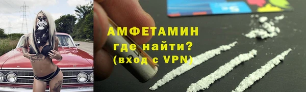 сатива Кулебаки