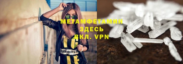 индика Кострома