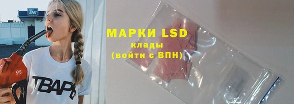 сатива Кулебаки