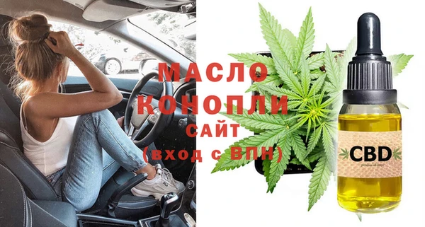 сатива Кулебаки