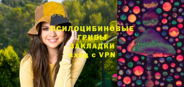 сатива Кулебаки