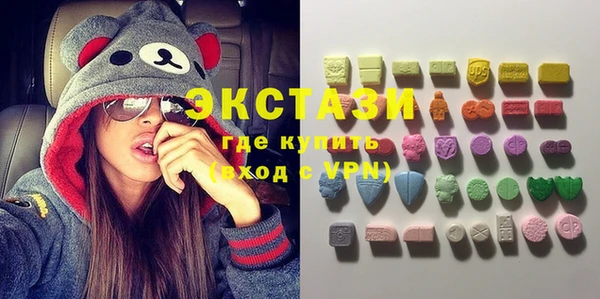 сатива Кулебаки