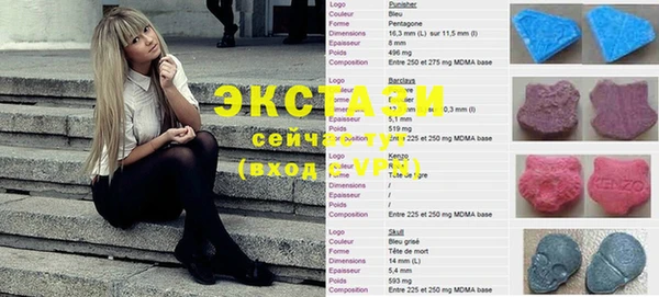 индика Кострома