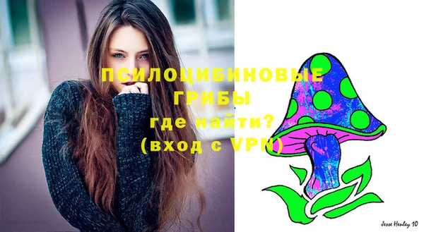 сатива Кулебаки