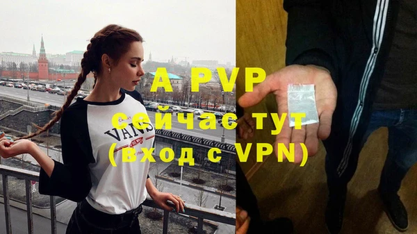 сатива Кулебаки