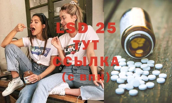 сатива Кулебаки