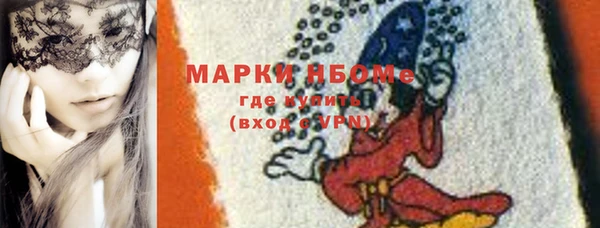 сатива Кулебаки