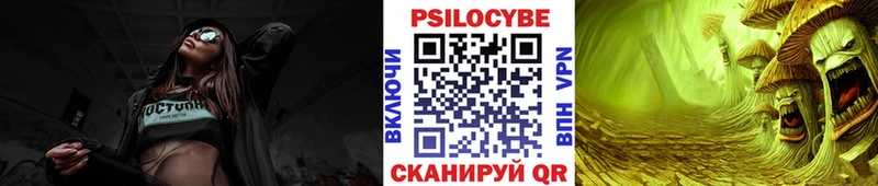 mega tor  Кочубеевское  Псилоцибиновые грибы Magic Shrooms 