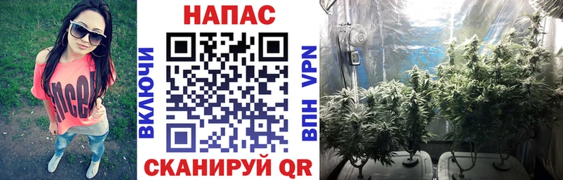 Шишки марихуана семена  закладка  Кочубеевское 